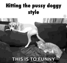 doggy style gifs 